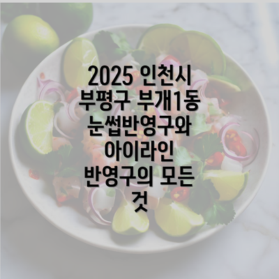 2025 인천시 부평구 부개1동 눈썹반영구와 아이라인 반영구의 모든 것