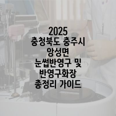 2025 충청북도 충주시 앙성면 눈썹반영구 및 반영구화장 총정리 가이드