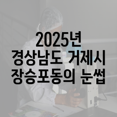 2025년 경상남도 거제시 장승포동의 눈썹