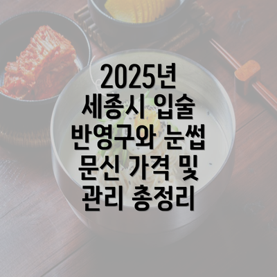 2025년 세종시 입술 반영구와 눈썹 문신 가격 및 관리 총정리