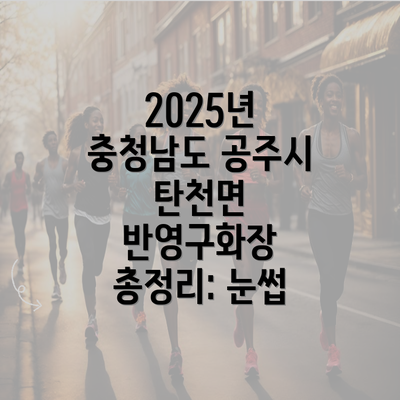 2025년 충청남도 공주시 탄천면 반영구화장 총정리: 눈썹