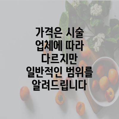 가격은 시술 업체에 따라 다르지만 일반적인 범위를 알려드립니다