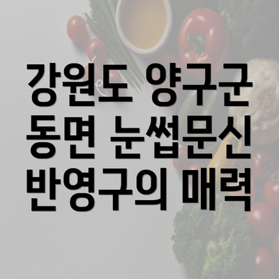 강원도 양구군 동면 눈썹문신 반영구의 매력