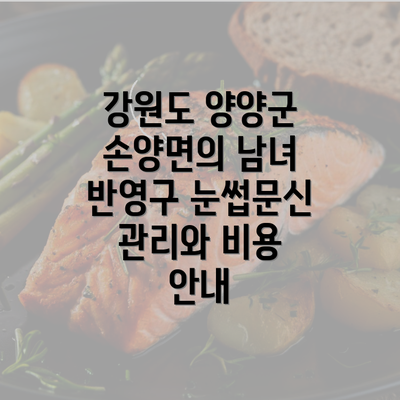 강원도 양양군 손양면의 남녀 반영구 눈썹문신 관리와 비용 안내