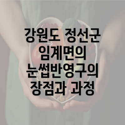 강원도 정선군 임계면의 눈썹반영구의 장점과 과정