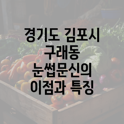 경기도 김포시 구래동 눈썹문신의 이점과 특징