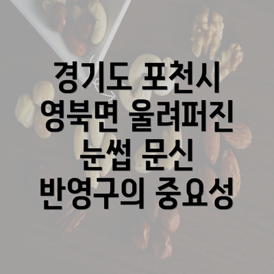 경기도 포천시 영북면 울려퍼진 눈썹 문신 반영구의 중요성