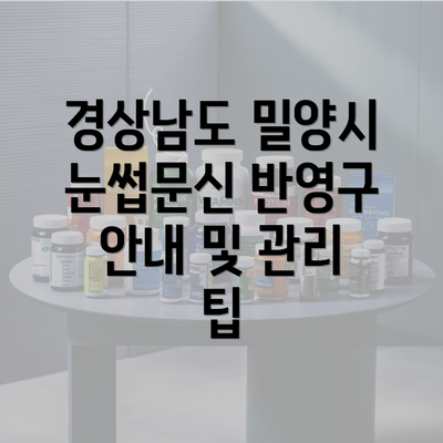 경상남도 밀양시 눈썹문신 반영구 안내 및 관리 팁