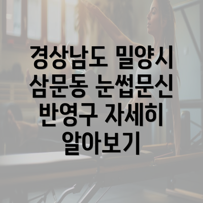 경상남도 밀양시 삼문동 눈썹문신 반영구 자세히 알아보기