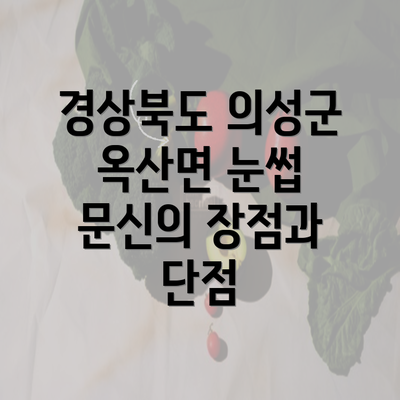 경상북도 의성군 옥산면 눈썹 문신의 장점과 단점