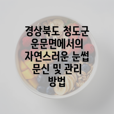 경상북도 청도군 운문면에서의 자연스러운 눈썹 문신 및 관리 방법