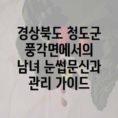 경상북도 청도군 풍각면에서의 남녀 눈썹문신과 관리 가이드