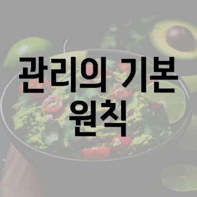 관리의 기본 원칙