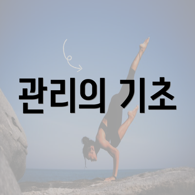 관리의 기초