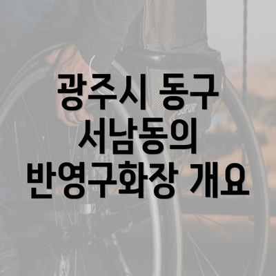 광주시 동구 서남동의 반영구화장 개요