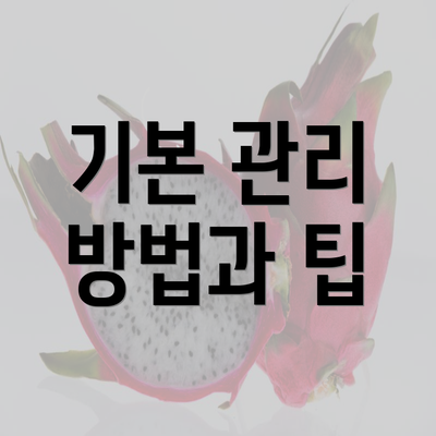 기본 관리 방법과 팁