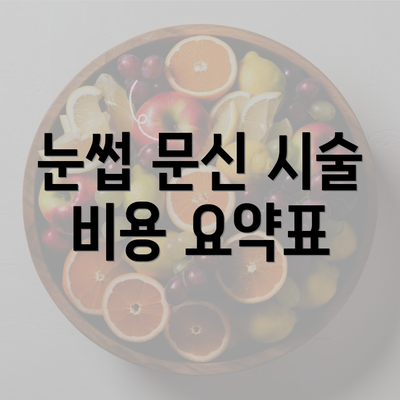 눈썹 문신 시술 비용 요약표