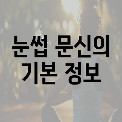 눈썹 문신의 기본 정보