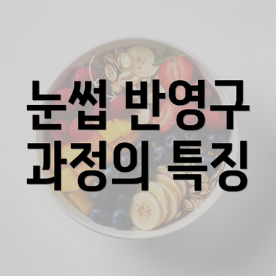 눈썹 반영구 과정의 특징