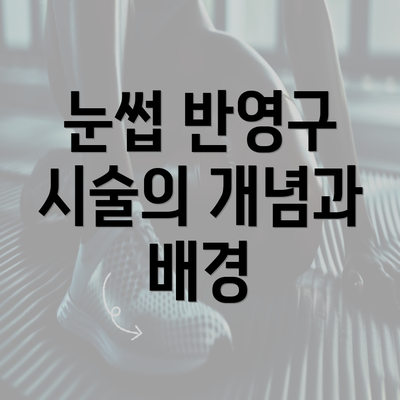 눈썹 반영구 시술의 개념과 배경