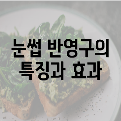 눈썹 반영구의 특징과 효과