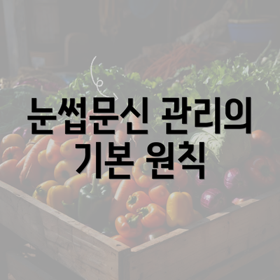 눈썹문신 관리의 기본 원칙