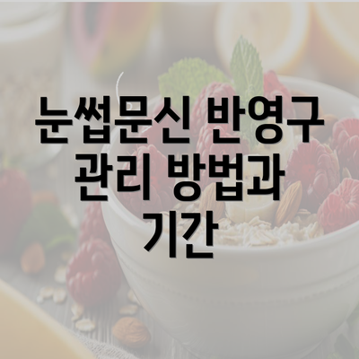 눈썹문신 반영구 관리 방법과 기간