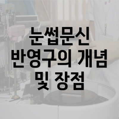 눈썹문신 반영구의 개념 및 장점