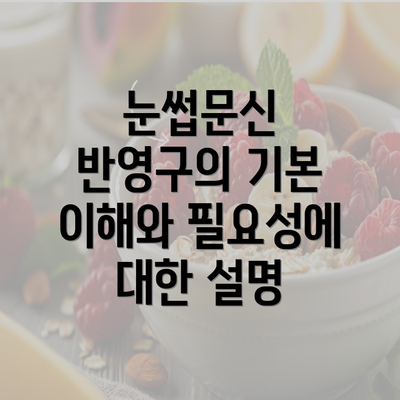 눈썹문신 반영구의 기본 이해와 필요성에 대한 설명