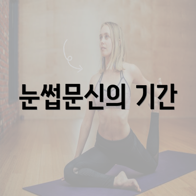 눈썹문신의 기간