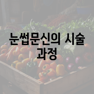 눈썹문신의 시술 과정