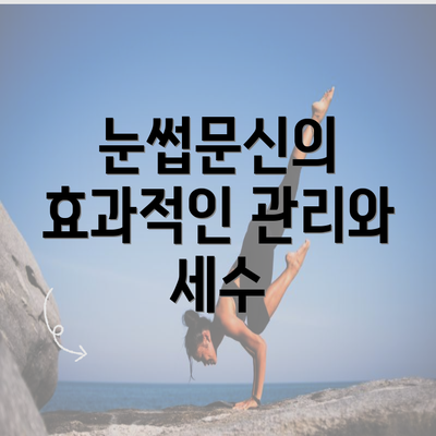 눈썹문신의 효과적인 관리와 세수