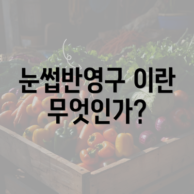 눈썹반영구 이란 무엇인가?