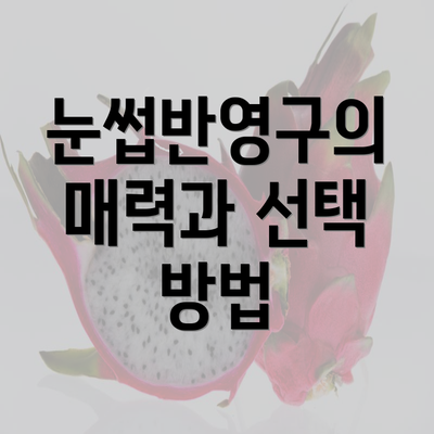 눈썹반영구의 매력과 선택 방법