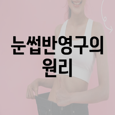 눈썹반영구의 원리