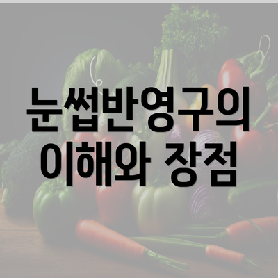 눈썹반영구의 이해와 장점