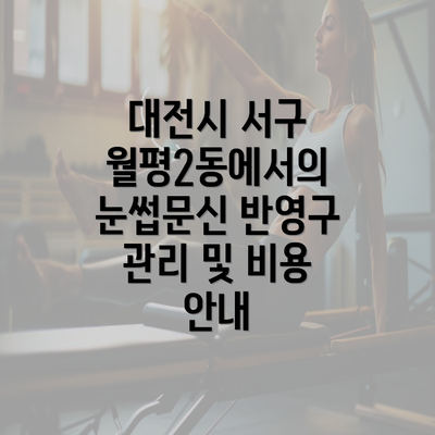 대전시 서구 월평2동에서의 눈썹문신 반영구 관리 및 비용 안내