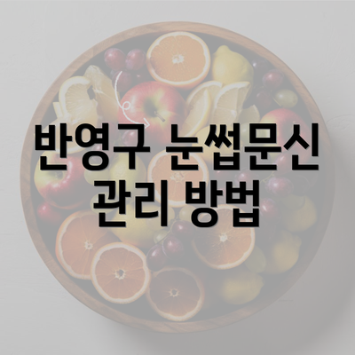 반영구 눈썹문신 관리 방법