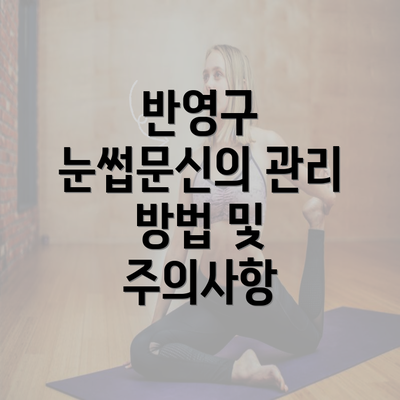 반영구 눈썹문신의 관리 방법 및 주의사항