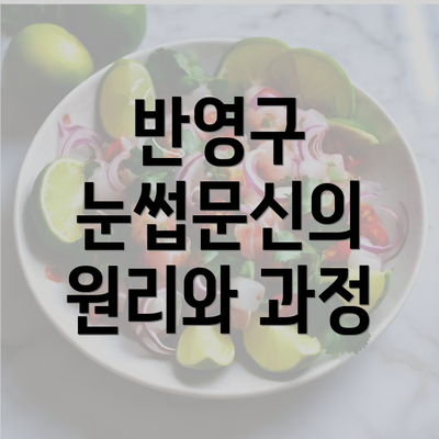 반영구 눈썹문신의 원리와 과정