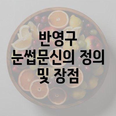 반영구 눈썹문신의 정의 및 장점