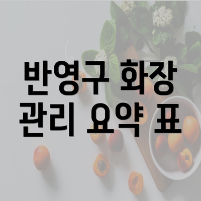 반영구 화장 관리 요약 표