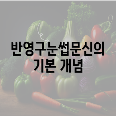 반영구눈썹문신의 기본 개념