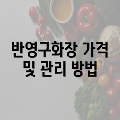 반영구화장 가격 및 관리 방법