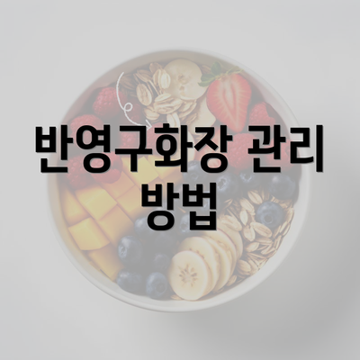 반영구화장 관리 방법