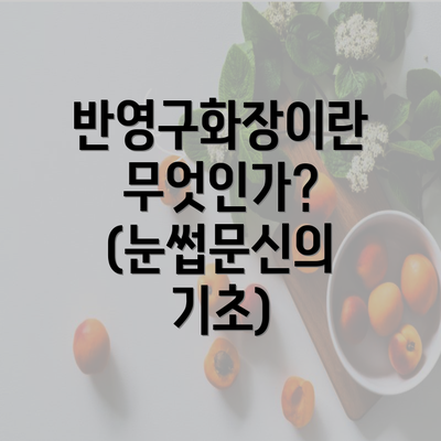 반영구화장이란 무엇인가? (눈썹문신의 기초)