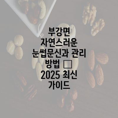 부강면 자연스러운 눈썹문신과 관리 방법 – 2025 최신 가이드