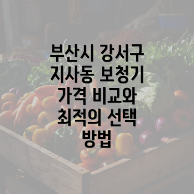 부산시 강서구 지사동 보청기 가격 비교와 최적의 선택 방법