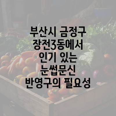 부산시 금정구 장전3동에서 인기 있는 눈썹문신 반영구의 필요성