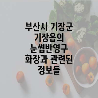 부산시 기장군 기장읍의 눈썹반영구 화장과 관련된 정보들